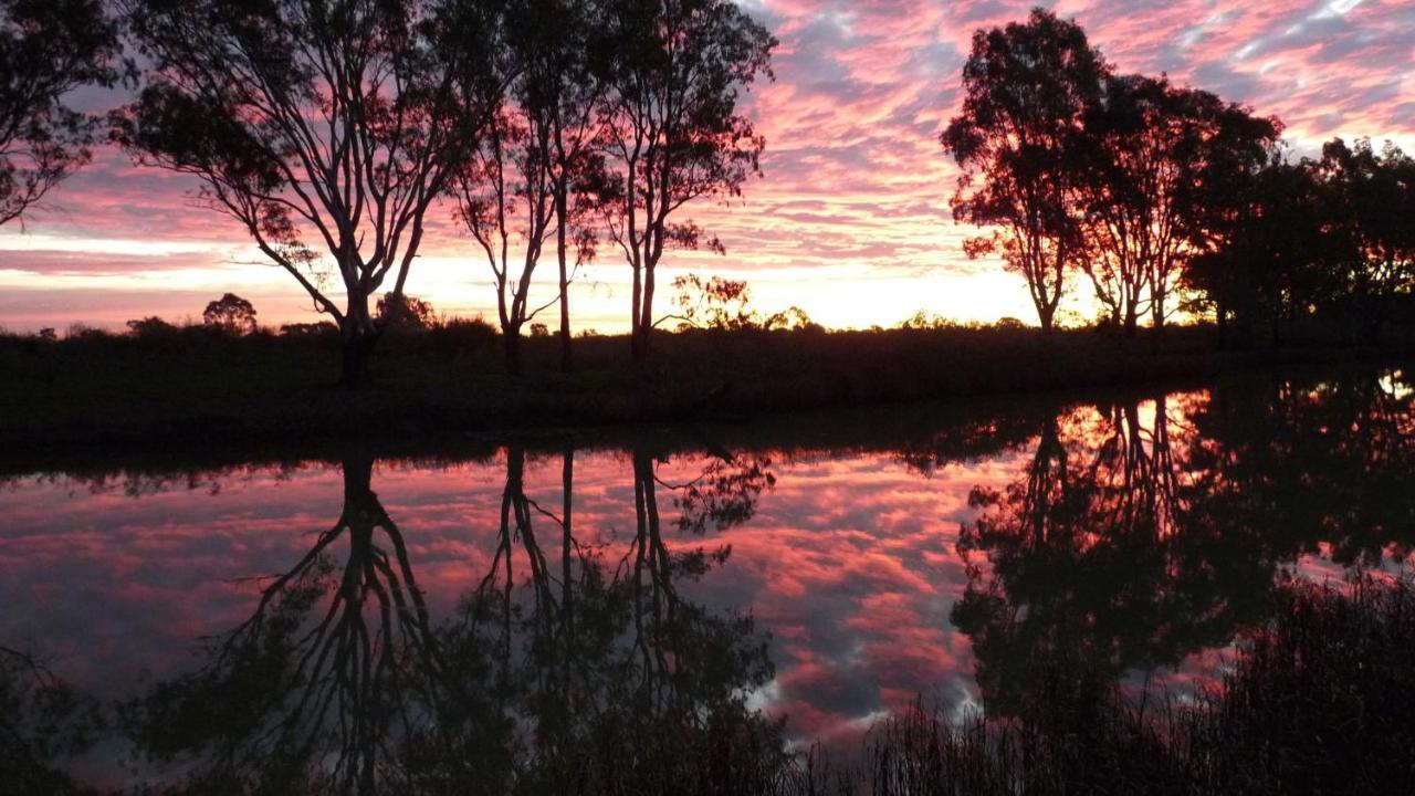Loddon River Motel Kerang Eksteriør billede