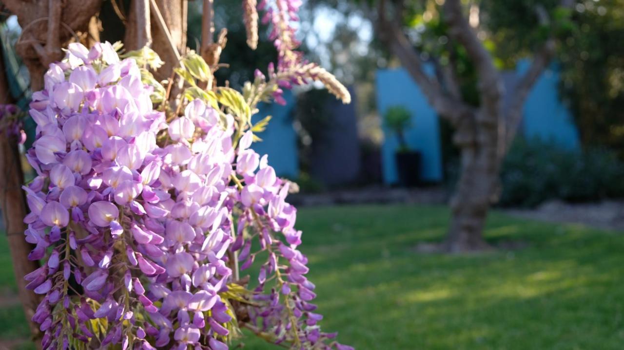 Loddon River Motel Kerang Eksteriør billede